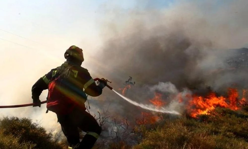 Φωτιά ξέσπασε στις Σέρρες - Στην μάχη και εναέρια μέσα